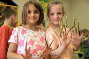 Read more about the article Rajska Tajlandia od kulis